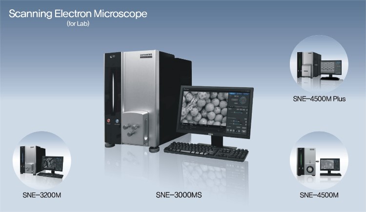 Scanning Electron Microscope-01.jpg